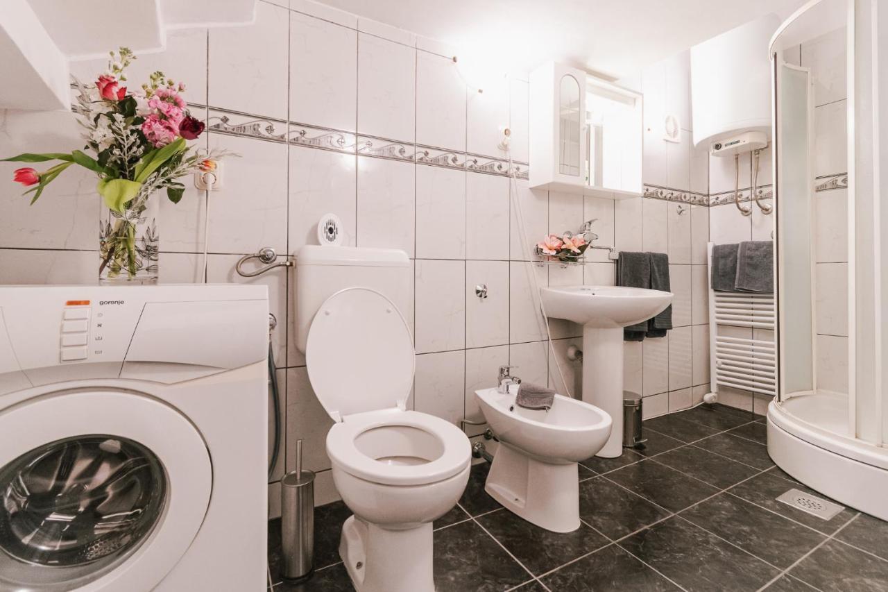 שיבניק Arya Apartment מראה חיצוני תמונה